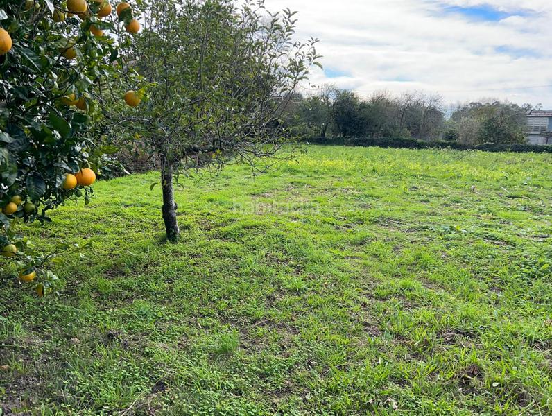 Foto b8a9df53-4a7f-4f2c-a2c5-42df9b499057. Terreno residencial en Olveira - lg sirves 110 finca en venta en sirves, en Ribeira