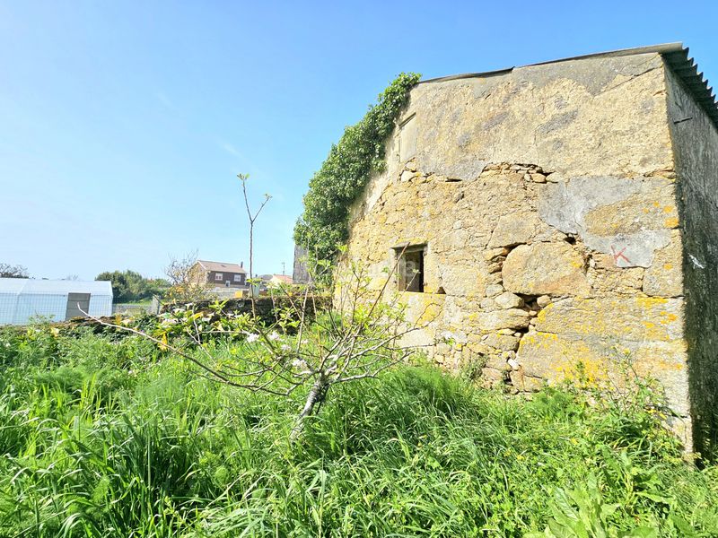 Foto 1ed33db3-74d4-4b14-8c71-137ee7c4c847. Casa a Carreira Ribeira