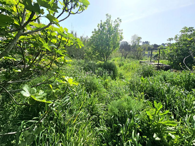 Foto 9184c18e-d37b-4c6b-a484-2d7011ad16cd. Casa a Carreira Ribeira