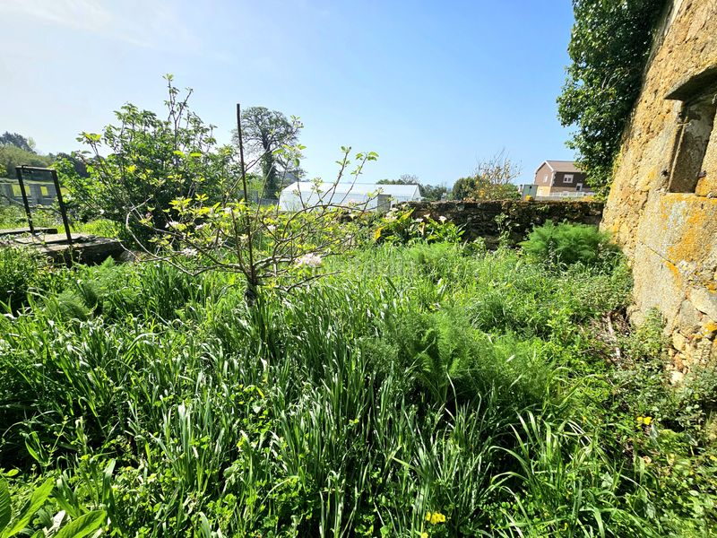 Foto c0cf0900-8fc5-4806-aefd-8de58fac694e. Casa a Carreira Ribeira