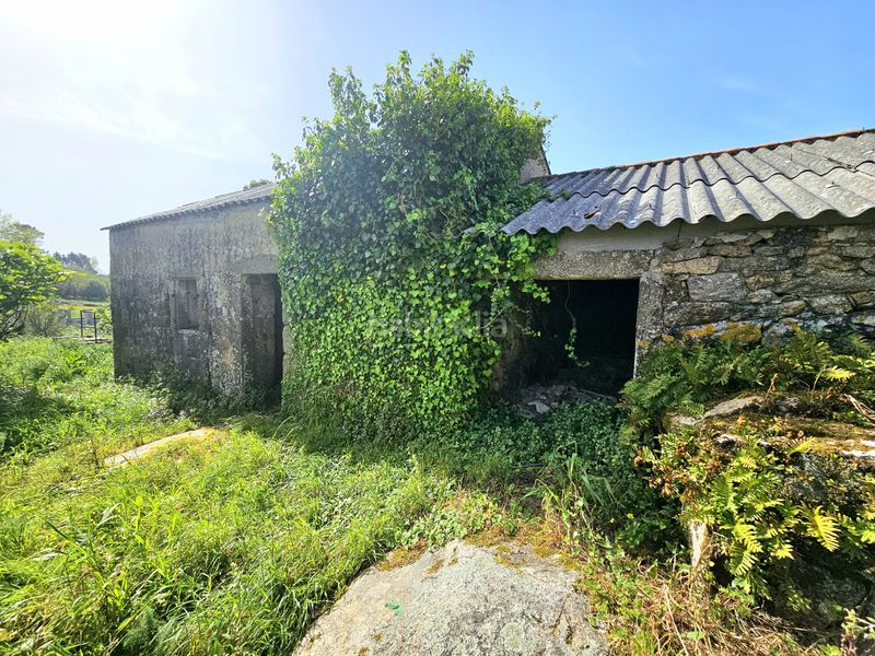 Foto da2b291e-9f22-4b04-a92e-7910f31d81cf. Casa a Carreira Ribeira