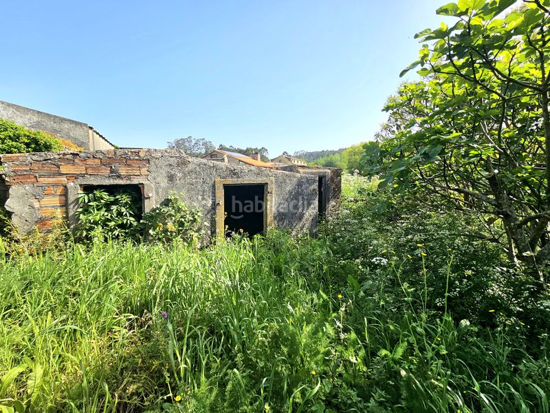 Foto e6464f2c-aec4-480b-b39f-f430a7b1bbea. Casa a Carreira Ribeira