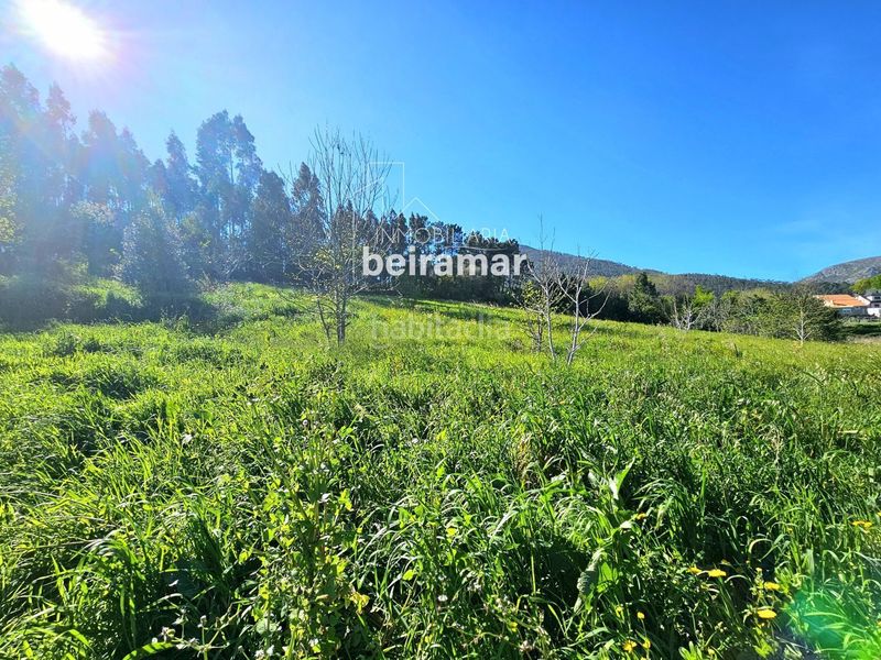 Foto c86c5e77-162f-4983-a488-9c9efffa6ef1. Casa a Pobra do Caramiñal (A)