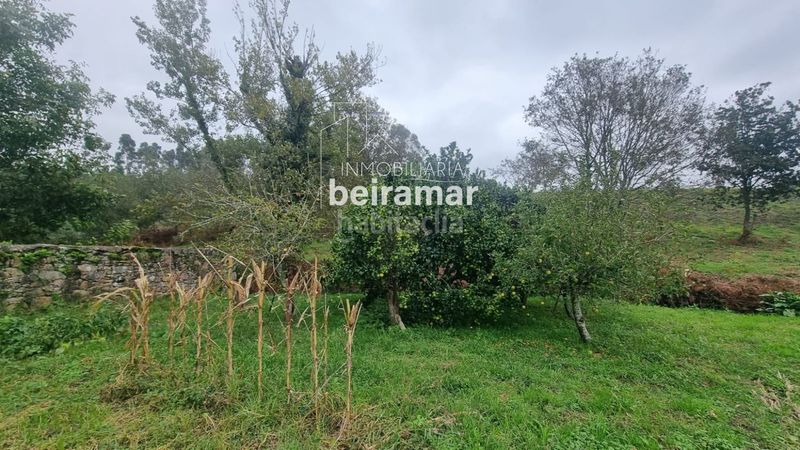 Foto 98a3ad3e-ea3b-47f6-b526-043ae0fc5e0e. Finca rústica a Olveira Ribeira