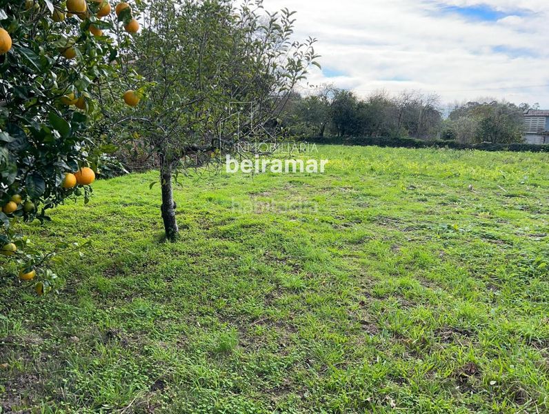 Foto b8751f24-079e-4dc1-8a8c-aca3df85a323. Finca rústica a Olveira Ribeira