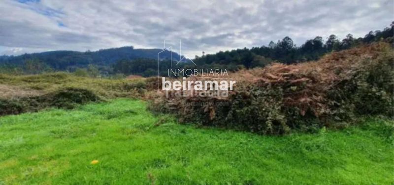 Foto 2ea54e92-9448-429d-97aa-7a083575d290. Finca rústica lote de 6 parcelas edificables promoción de viviendas desde 12.500 parcela en Rois