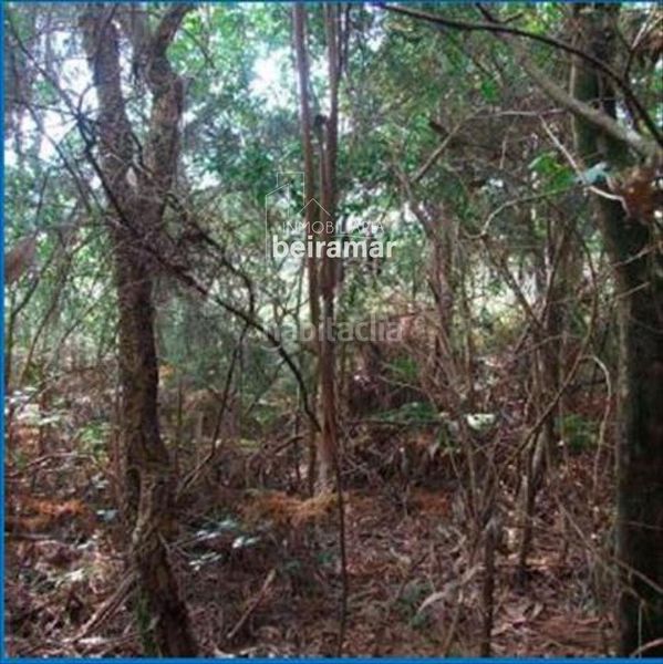 Foto 8a92be2e-a966-4980-ade0-6b109f2db7a5. Finca rústica a Oleiros Ribeira