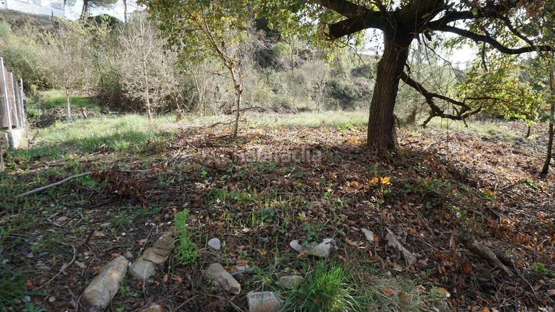 Foto d43572b5-1c41-4cc2-860c-fde0c95a6576. Terreny residencial a Moià