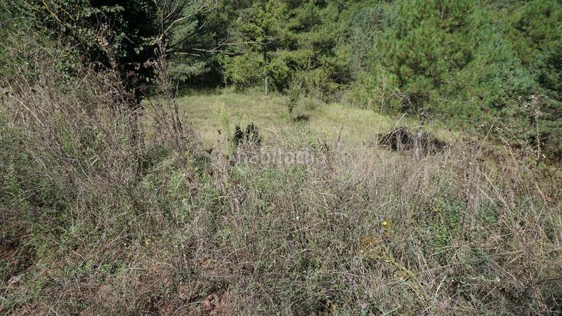 Foto b187072a-1c35-4673-99eb-bb777738feb1. Wohngrundstück in Moià