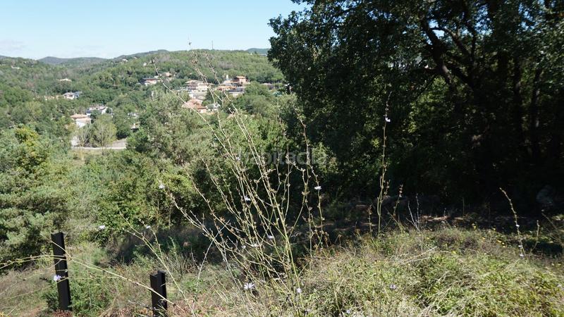 Foto e24a2150-a21c-4b3c-9352-0a954a796b85. Wohngrundstück in Moià