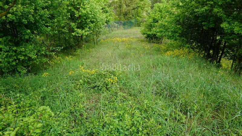 Foto bec293cb-5a01-4ce8-b54b-4957f0b23be1. Terreny residencial a Moià