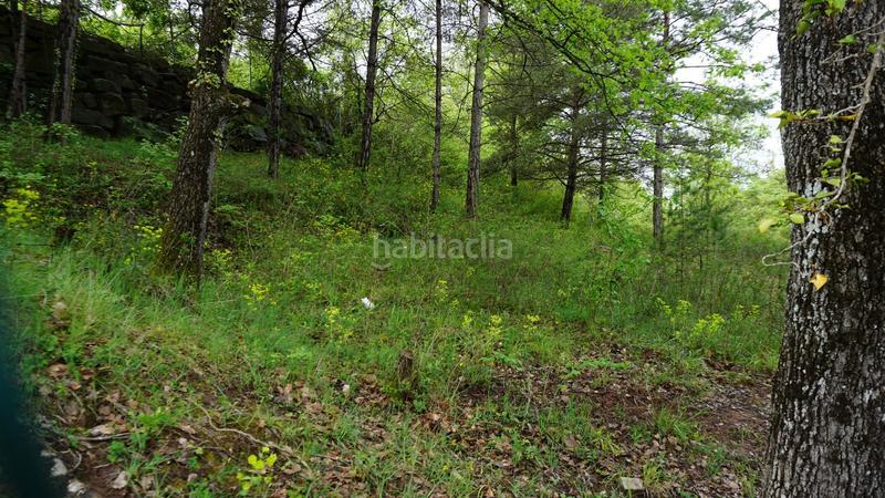 Foto e6af29b4-7ffe-43c3-af3d-25f8f6761434. Terreny residencial a Moià