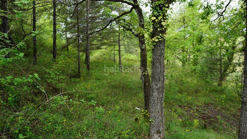 Foto ef33d048-7916-48d7-840c-e3d0094101e9. Terreny residencial a Moià
