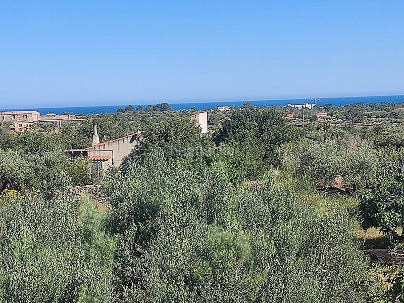 Foto 8f88e36c-4a9d-44f4-961c-c25aa67aeddd. Xalet amb piscina a Roques Daurades-L´Estany Ametlla de Mar (L´)