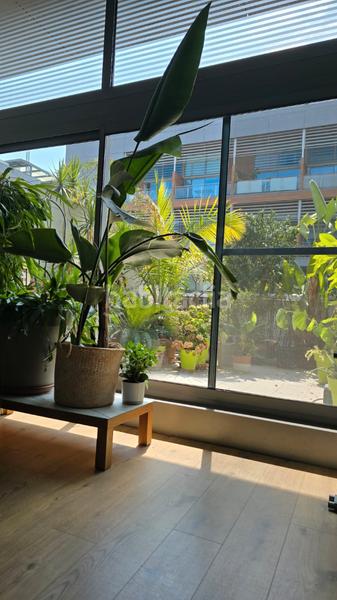 Foto 681eaf81-4f28-40eb-b592-fa94661fb5c3. Duplex in carrer de la creu roja 4 in Vara de Quart Valencia