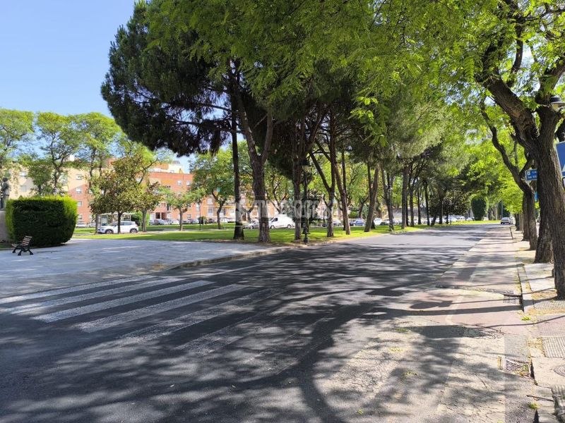 Foto a45d2a05-047e-48c6-bcb7-6140e2bfaf77. Pis a San Antonio Huelva