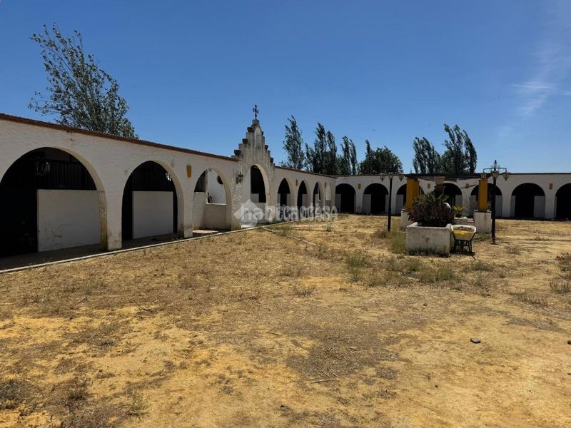 Foto 0bb64e19-71e1-4895-9a37-92f75f3c7938. Finca rústica a Las Torres - Guadalupe Huelva