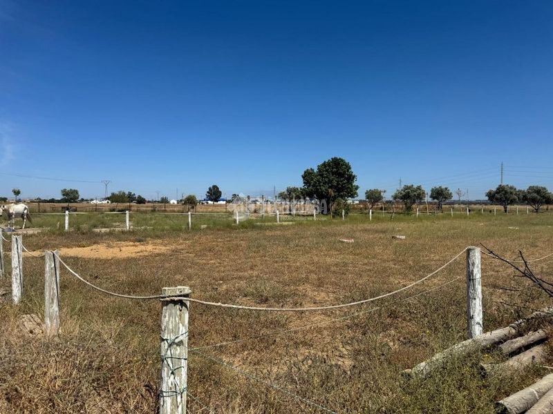 Foto 16955fd0-f2b5-4159-aafd-3a3c983952ab. Finca rústica a Las Torres - Guadalupe Huelva