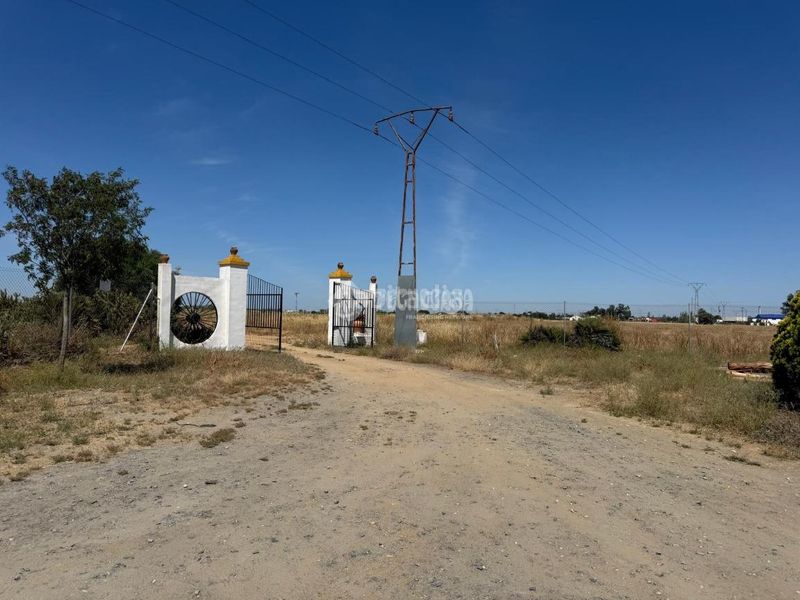 Foto 55f60765-ec83-47a1-808c-2a44f8bf0d3b. Finca rústica a Las Torres - Guadalupe Huelva