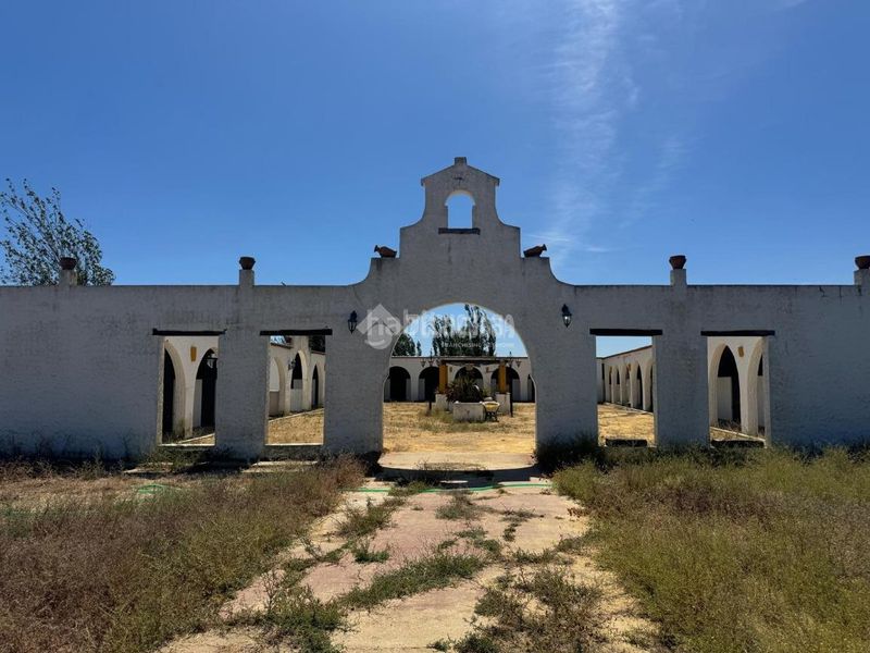 Foto 58c66a60-3c98-44dc-894c-630648922da7. Finca rústica a Las Torres - Guadalupe Huelva