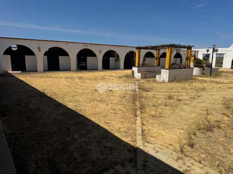 Foto 92807d16-8e00-44e4-bd2d-c0f61cfe5505. Finca rústica a Las Torres - Guadalupe Huelva