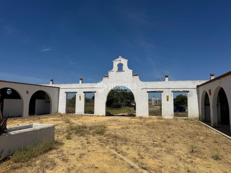 Foto a2420aa2-74e1-401e-9e31-6a2e56996318. Finca rústica a Las Torres - Guadalupe Huelva