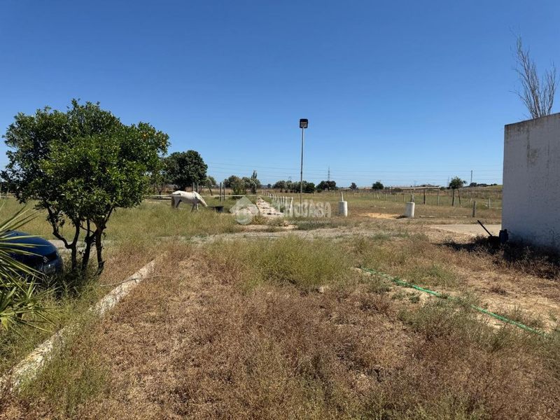 Foto e9a744e1-3ad5-440f-8362-8ca2c3e8275d. Finca rústica a Las Torres - Guadalupe Huelva