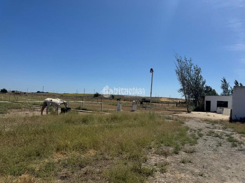 Foto f62b855e-8b90-4a3a-a6cf-8fc69c358572. Finca rústica a Las Torres - Guadalupe Huelva