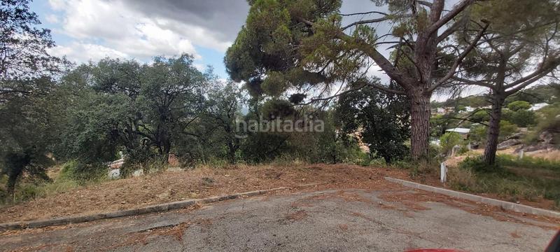 Foto 56071b05-9fd0-439a-8df1-8229339bba1f. Residential plot in serra llonga 50 in Santa Cristina Poble Santa Cristina d´Aro