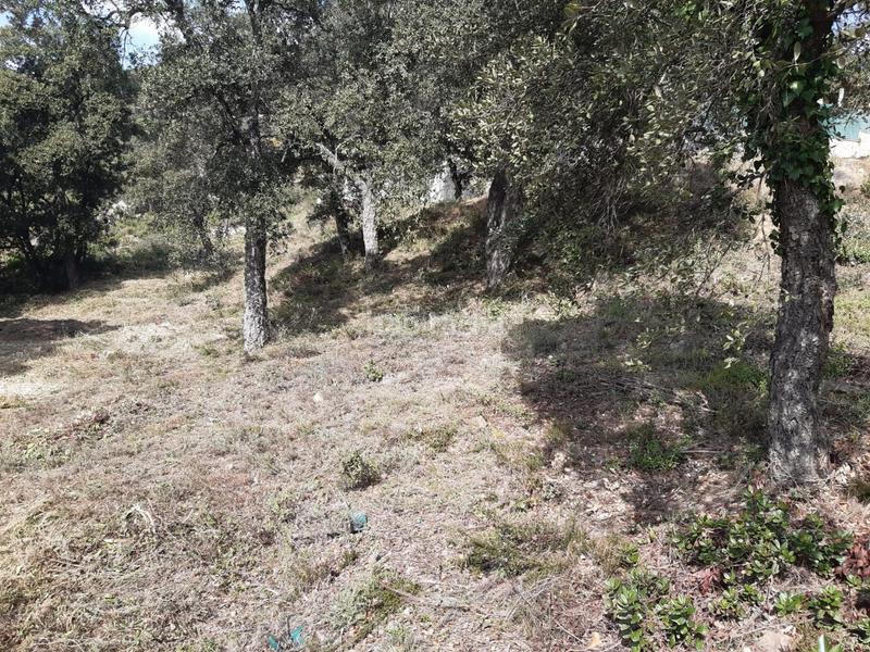 Foto 66e249e1-b42a-4b5e-93be-6739c3c64538. Residential plot in serra llonga 50 in Santa Cristina Poble Santa Cristina d´Aro