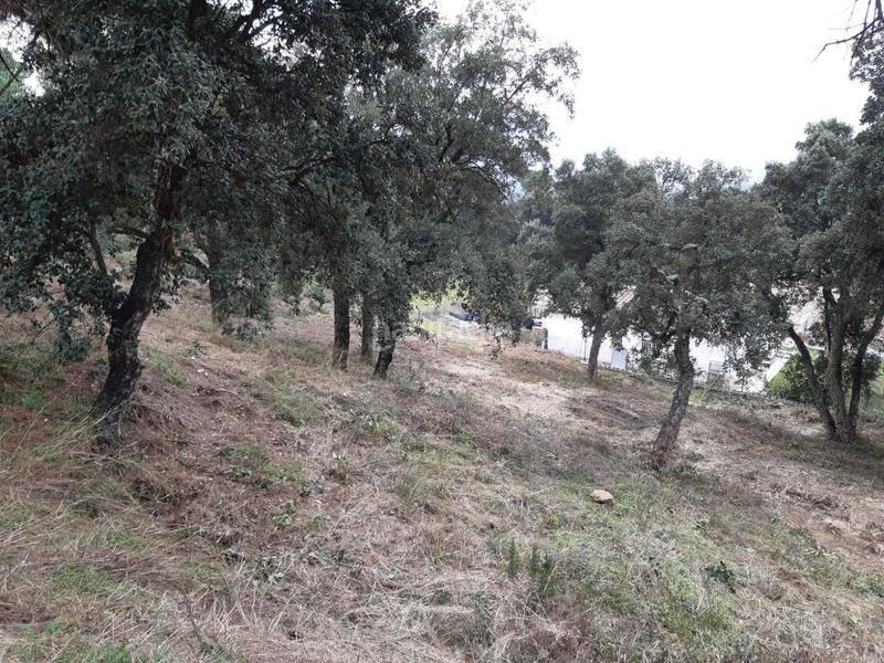 Foto b9ef1e83-942b-482a-996a-c62218b111c5. Residential plot in serra llonga 50 in Santa Cristina Poble Santa Cristina d´Aro