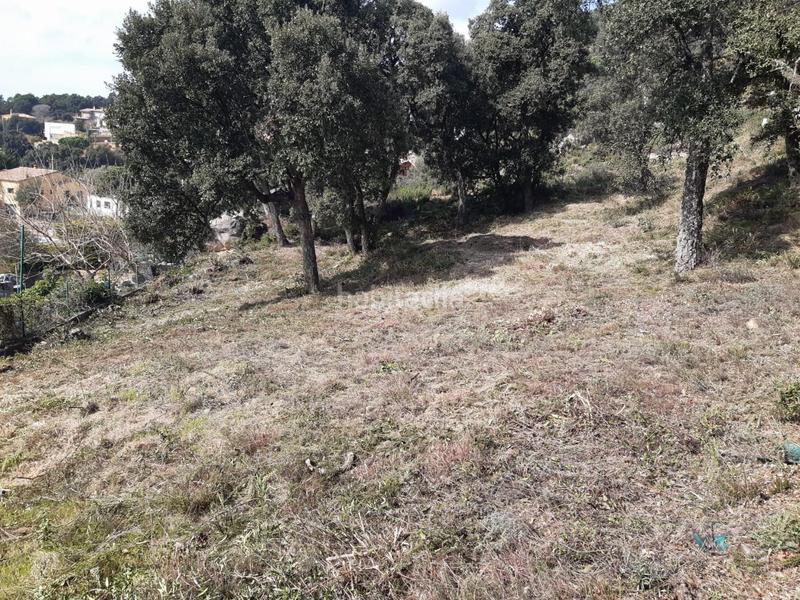 Foto ff5927a1-19a7-4c96-b035-3cc55d8873b0. Residential plot in serra llonga 50 in Santa Cristina Poble Santa Cristina d´Aro