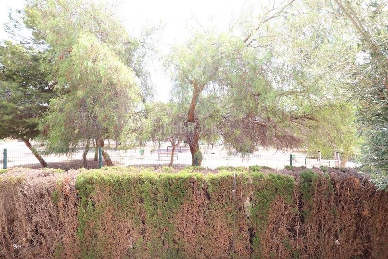 Foto c9411756-0044-4af8-a007-d3d63a344fa4. Apartamento en Zeniamar - Horizonte - La Campana Orihuela