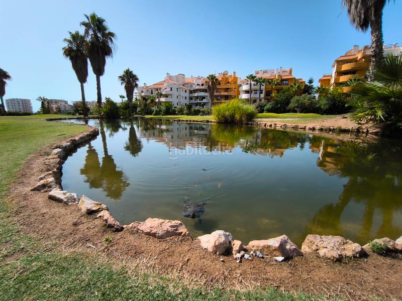 Foto abf14eb9-1da9-4c4d-95ed-721753dbd73a. Attique avec parking piscine dans Punta Prima Torrevieja