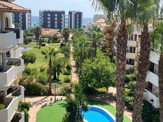 Penthouse in Punta Prima
