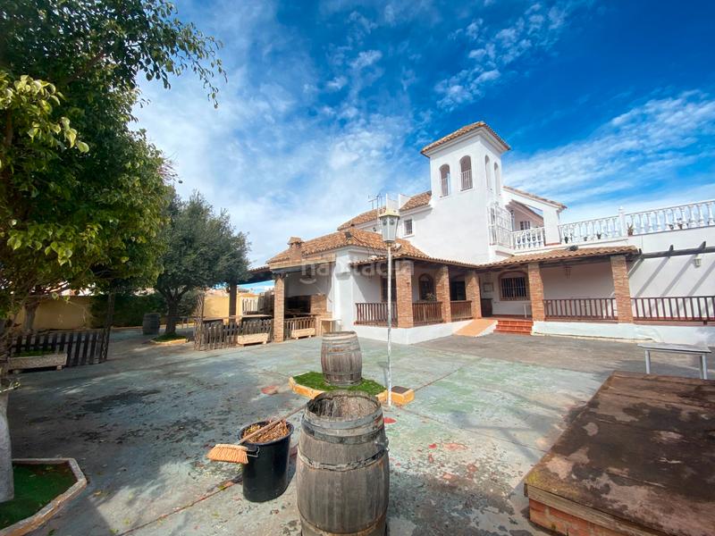 Foto 9e50e052-1ba5-4538-a76c-c4463a71a2cb. Local comercial a La Regia Orihuela