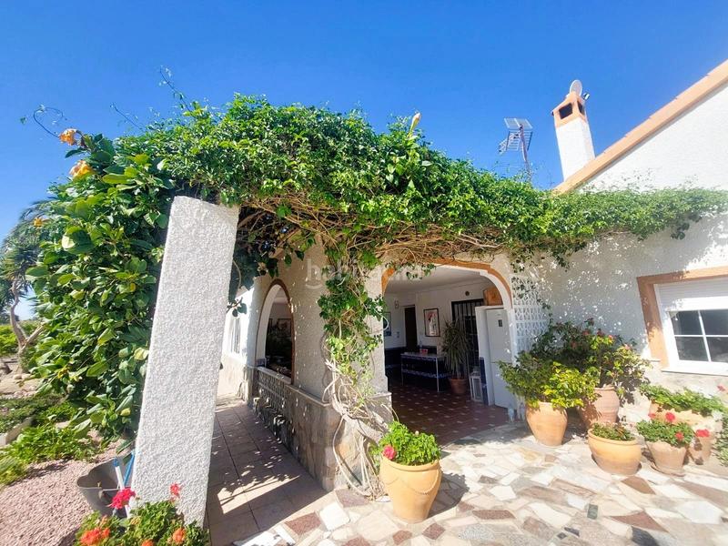 Foto 0c281c70-92c5-4a56-8545-5615491bb39f. Mas dans La Marina Elche / Elx