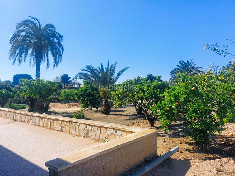 Foto 79d7435b-3379-44a0-a530-dfd54d7ae0bd. Mas dans La Marina Elche / Elx