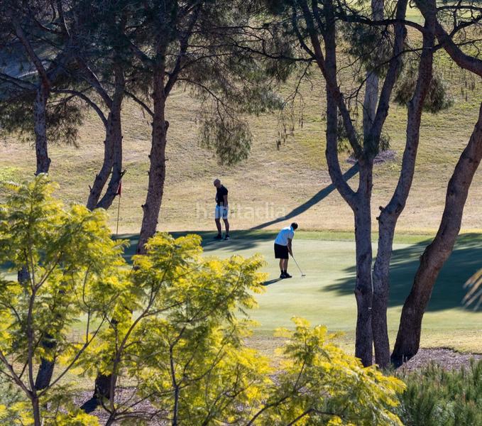 Foto 8a34ac3a-a948-493c-97f4-0806763fc5a2. Casa en Orihuela ciudad Orihuela