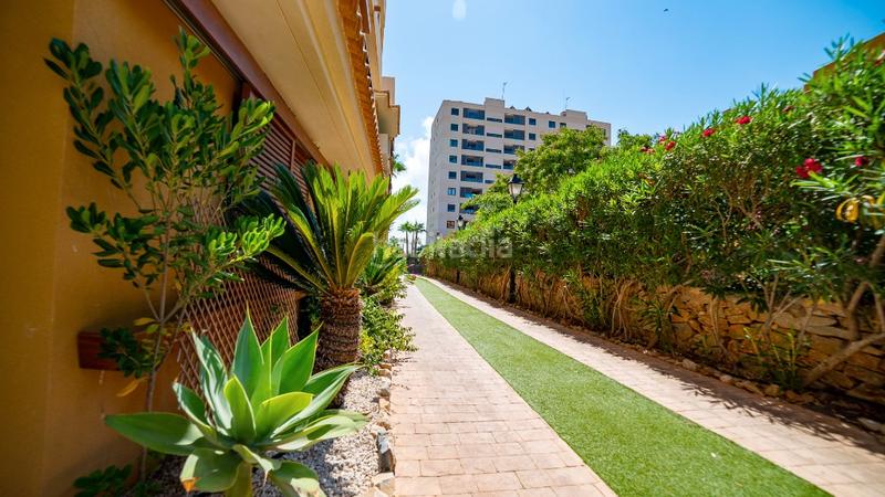 Foto 28d84fe8-1923-464e-9fe2-13a964c3fe32. Apartamento en Punta Prima Torrevieja