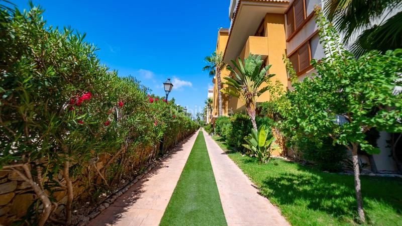 Foto c1440705-13dc-474f-8fb7-6084d914b7f1. Apartamento en Punta Prima Torrevieja