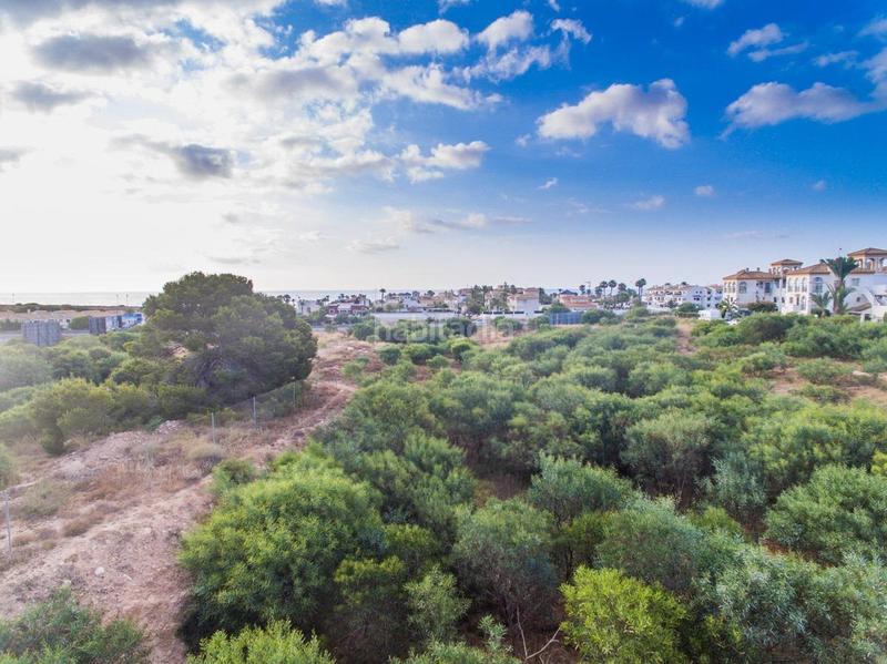 Foto 230ccadb-b585-431a-99cc-dea27a47833f. Apartament a Playa Flamenca Orihuela