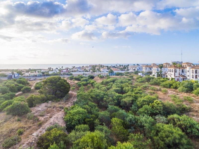 Foto e4e17b15-874e-40fd-b1a0-cb1fbb87d347. Apartament a Playa Flamenca Orihuela