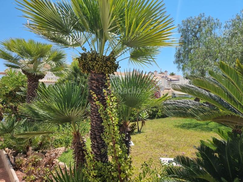 Foto d8432465-6702-4888-968c-454f143e4de7. Appartement dans El Molino Torrevieja