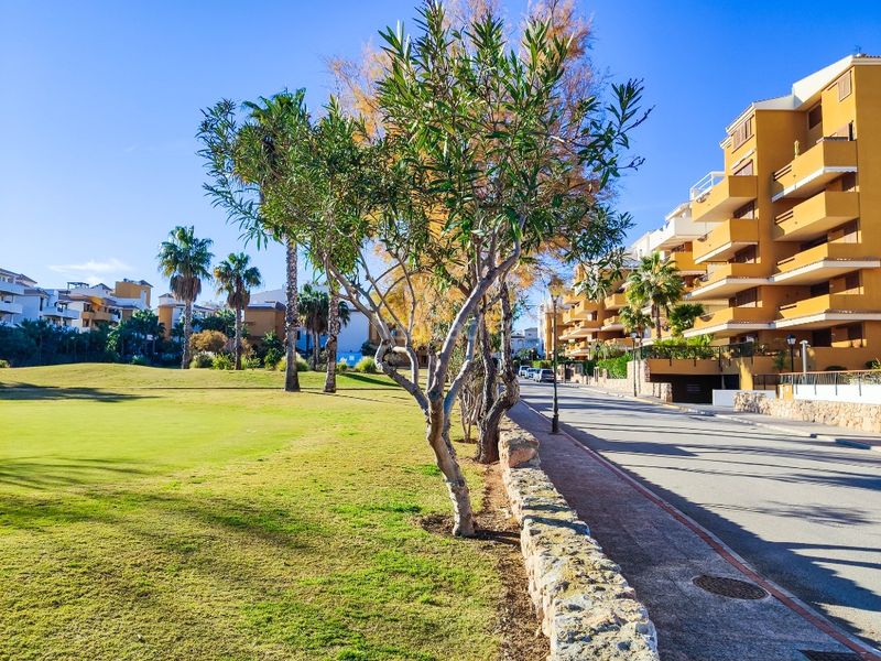 Foto 8af0fd3e-fa22-4a27-a85c-54f202e425de. Apartamento en Punta Prima Torrevieja