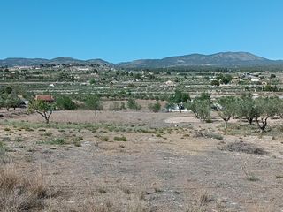 Finca rústica en Castalla. Ocasion venta terreno rustico castalla edificable