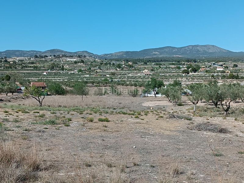 Foto 51ec4025-dc47-49cb-9e8f-daada333f486. Finca rústica ocasion venta terreno rustico edificable en Castalla