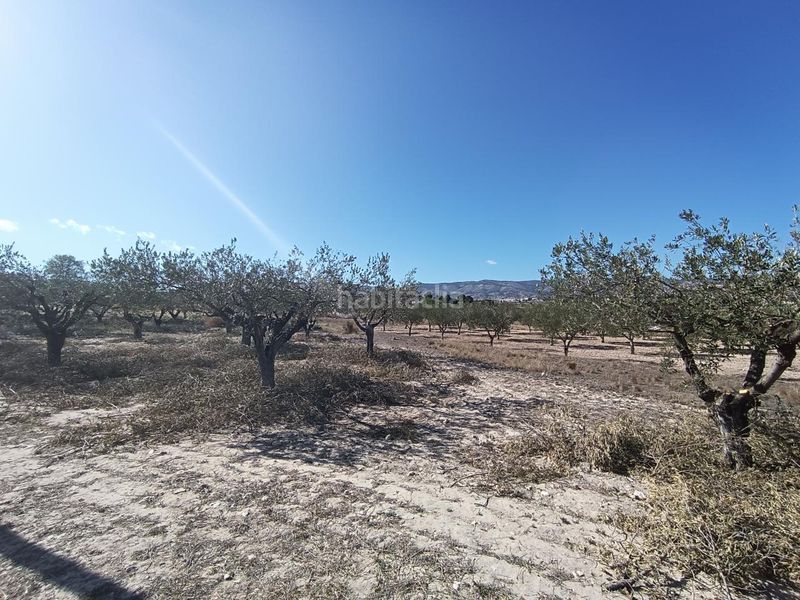 Foto 88cbc95a-f6a9-46c3-86f8-4b363c08a6ad. Finca rústica ocasion venta terreno rustico edificable en Castalla