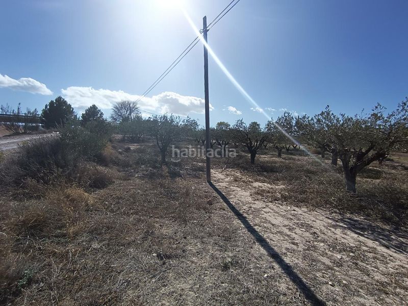 Foto a0063231-1926-4778-a140-5705ff10edfe. Finca rústica ocasion venta terreno rustico edificable en Castalla