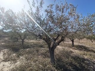 Finca rústica a Castalla